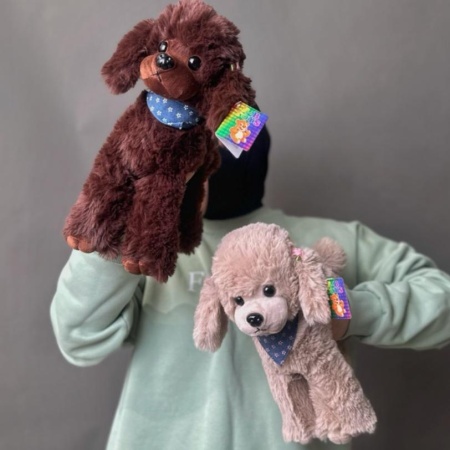 Оливка и Чиа